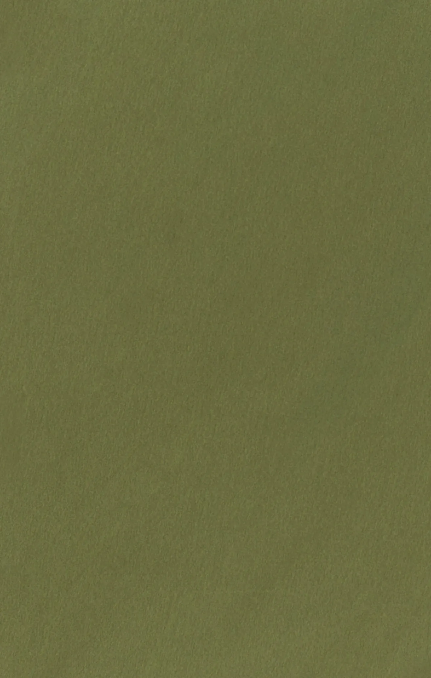 Show Me Your Mumu Bridesmaid Fabric Swatch