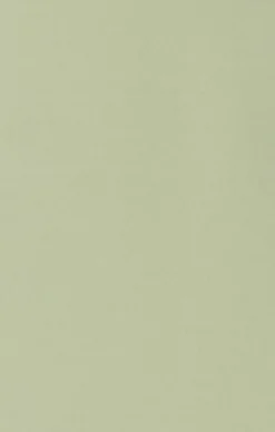 Show Me Your Mumu Bridesmaid Fabric Swatch